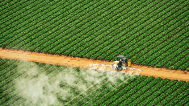 Best Mosquito Control Services  in North Olmsted, OH